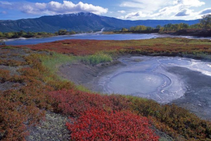 Kronotsky reserve - resident valley gejzira Kronotsky reserve - resident valley gejzira